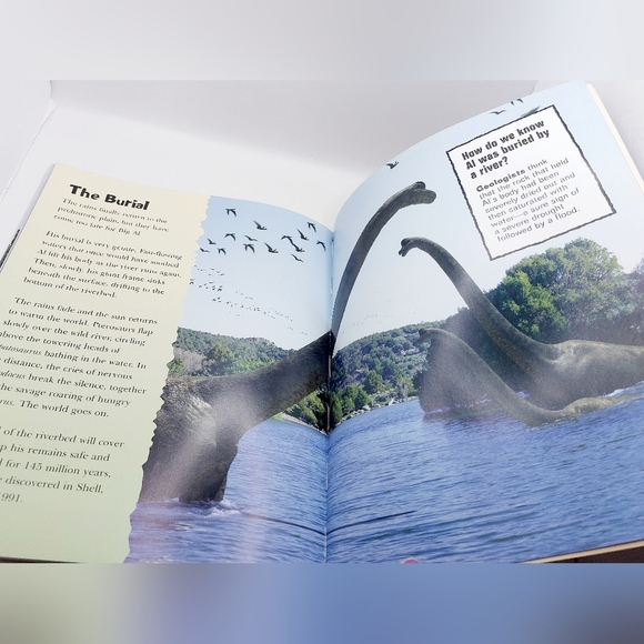 Allosaurus: The Life and Death of Big Al (Discovery Kids) - GOOD - Picture 6 of 6